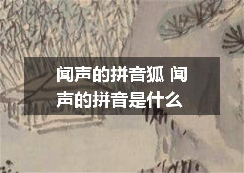 闻声的拼音狐 闻声的拼音是什么
