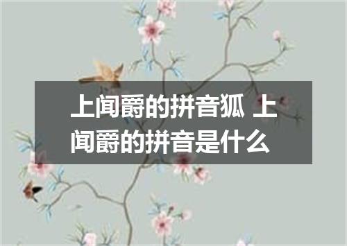 上闻爵的拼音狐 上闻爵的拼音是什么