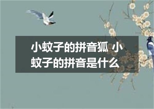 小蚊子的拼音狐 小蚊子的拼音是什么