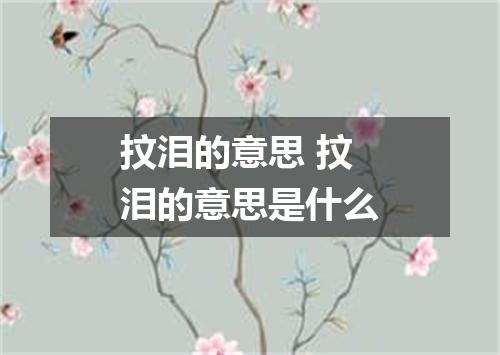 抆泪的意思 抆泪的意思是什么