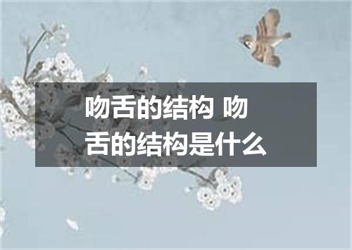 吻舌的结构 吻舌的结构是什么