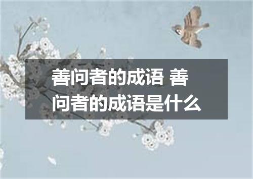 善问者的成语 善问者的成语是什么