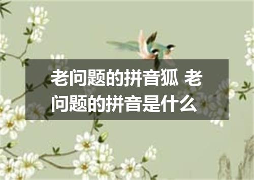 老问题的拼音狐 老问题的拼音是什么