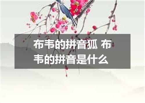 布韦的拼音狐 布韦的拼音是什么