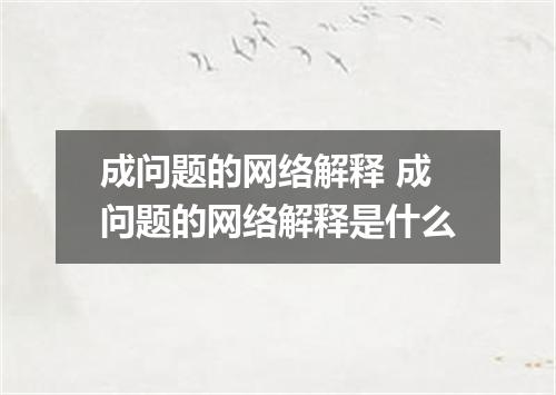 成问题的网络解释 成问题的网络解释是什么