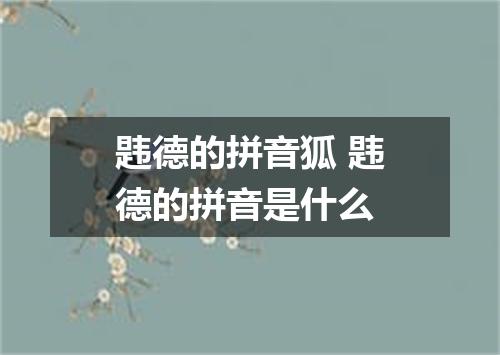 韪德的拼音狐 韪德的拼音是什么