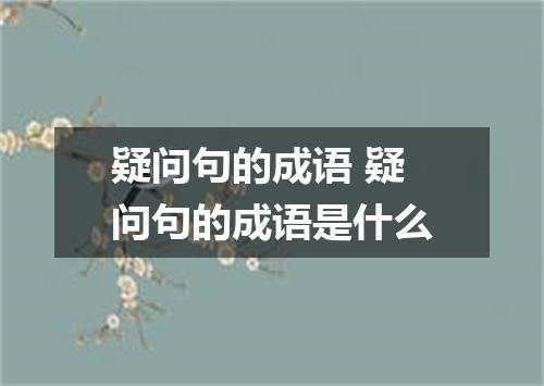 疑问句的成语 疑问句的成语是什么