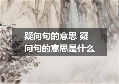 疑问句的意思 疑问句的意思是什么