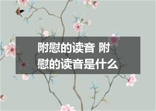附慰的读音 附慰的读音是什么