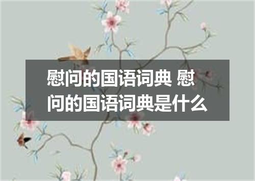 慰问的国语词典 慰问的国语词典是什么