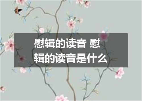 慰辑的读音 慰辑的读音是什么