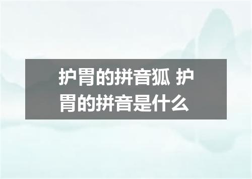 护胃的拼音狐 护胃的拼音是什么