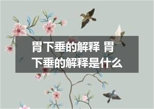 胃下垂的解释 胃下垂的解释是什么