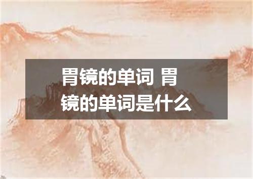 胃镜的单词 胃镜的单词是什么