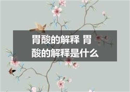 胃酸的解释 胃酸的解释是什么