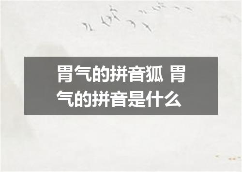 胃气的拼音狐 胃气的拼音是什么