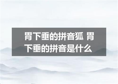 胃下垂的拼音狐 胃下垂的拼音是什么
