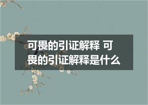 可畏的引证解释 可畏的引证解释是什么