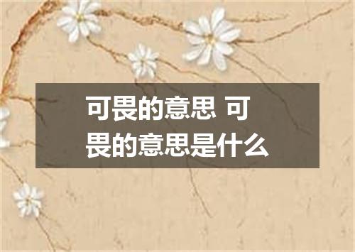 可畏的意思 可畏的意思是什么