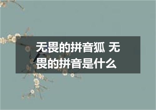 无畏的拼音狐 无畏的拼音是什么