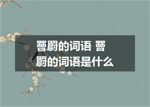 罾罻的词语 罾罻的词语是什么