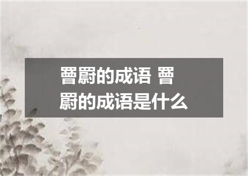 罾罻的成语 罾罻的成语是什么