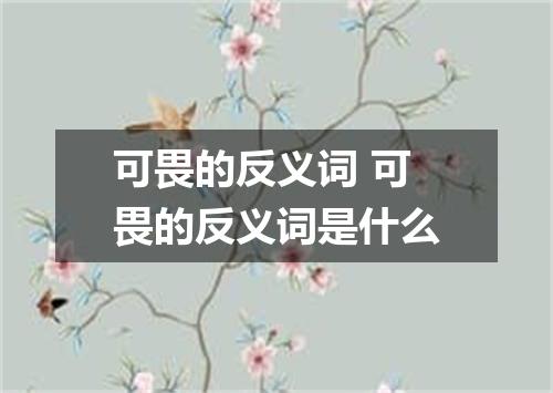 可畏的反义词 可畏的反义词是什么