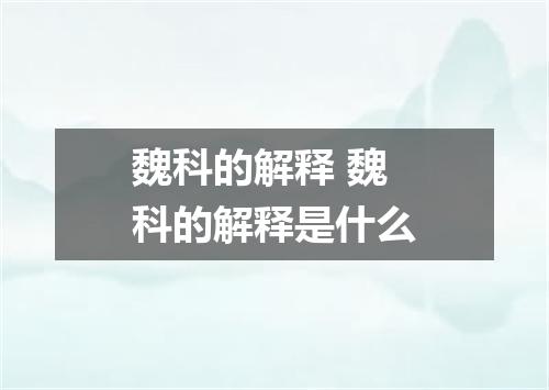 魏科的解释 魏科的解释是什么