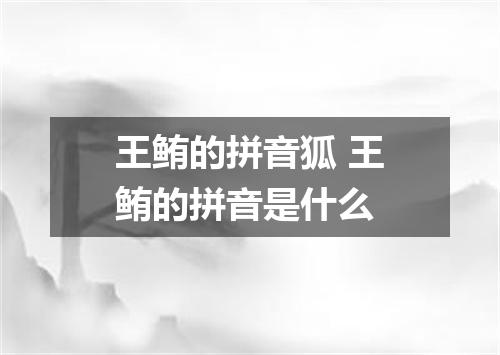 王鲔的拼音狐 王鲔的拼音是什么