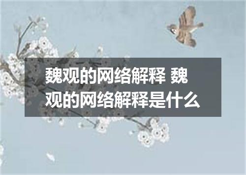 魏观的网络解释 魏观的网络解释是什么