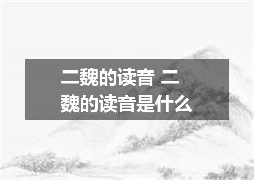 二魏的读音 二魏的读音是什么