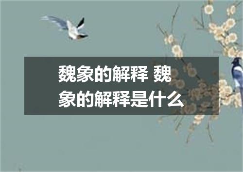 魏象的解释 魏象的解释是什么