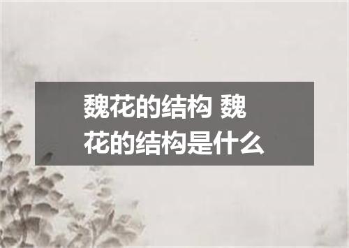 魏花的结构 魏花的结构是什么