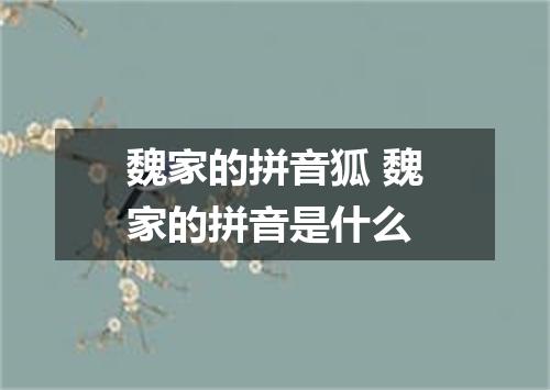 魏家的拼音狐 魏家的拼音是什么