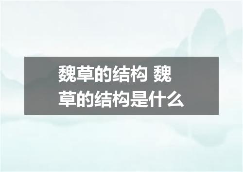 魏草的结构 魏草的结构是什么