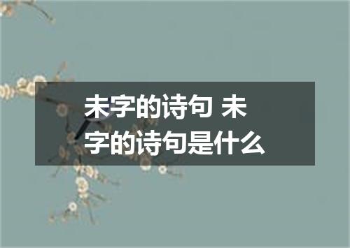 未字的诗句 未字的诗句是什么
