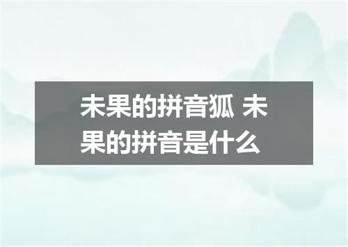 未果的拼音狐 未果的拼音是什么