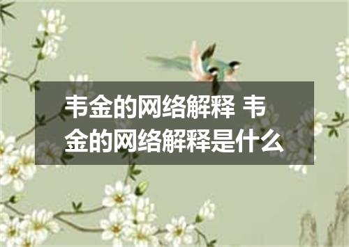 韦金的网络解释 韦金的网络解释是什么