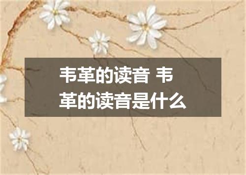 韦革的读音 韦革的读音是什么