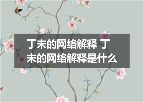 丁未的网络解释 丁未的网络解释是什么