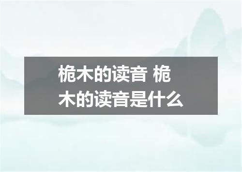 桅木的读音 桅木的读音是什么