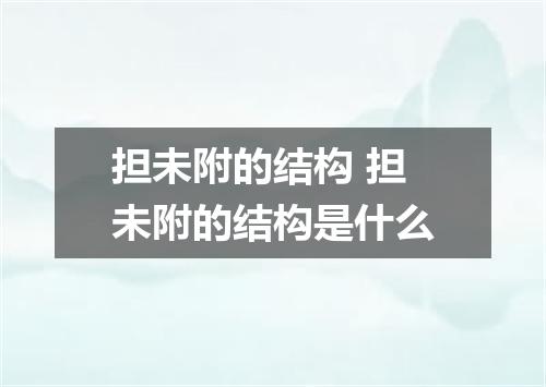 担未附的结构 担未附的结构是什么