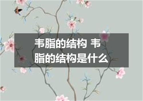 韦脂的结构 韦脂的结构是什么