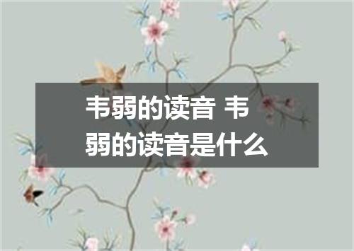 韦弱的读音 韦弱的读音是什么