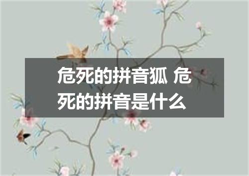 危死的拼音狐 危死的拼音是什么