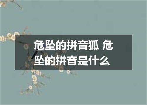 危坠的拼音狐 危坠的拼音是什么