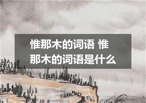 惟那木的词语 惟那木的词语是什么