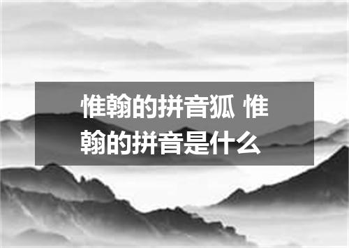惟翰的拼音狐 惟翰的拼音是什么