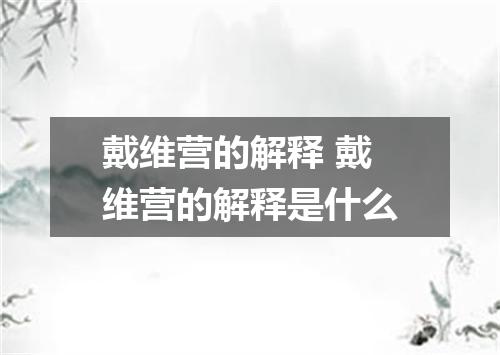 戴维营的解释 戴维营的解释是什么