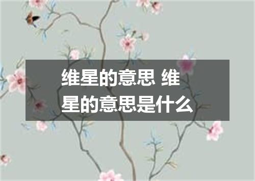 维星的意思 维星的意思是什么